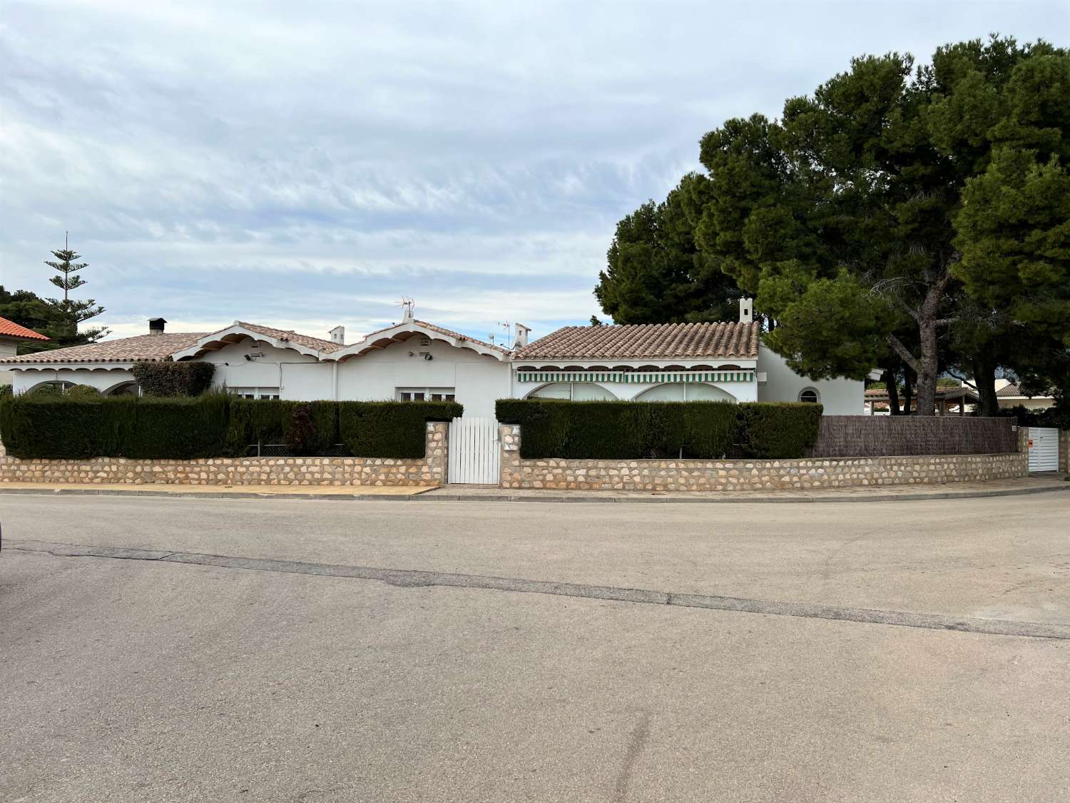 Two houses on a large plot