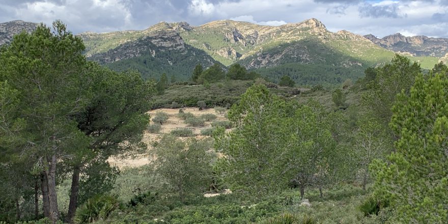 Casa en venda in El Perelló