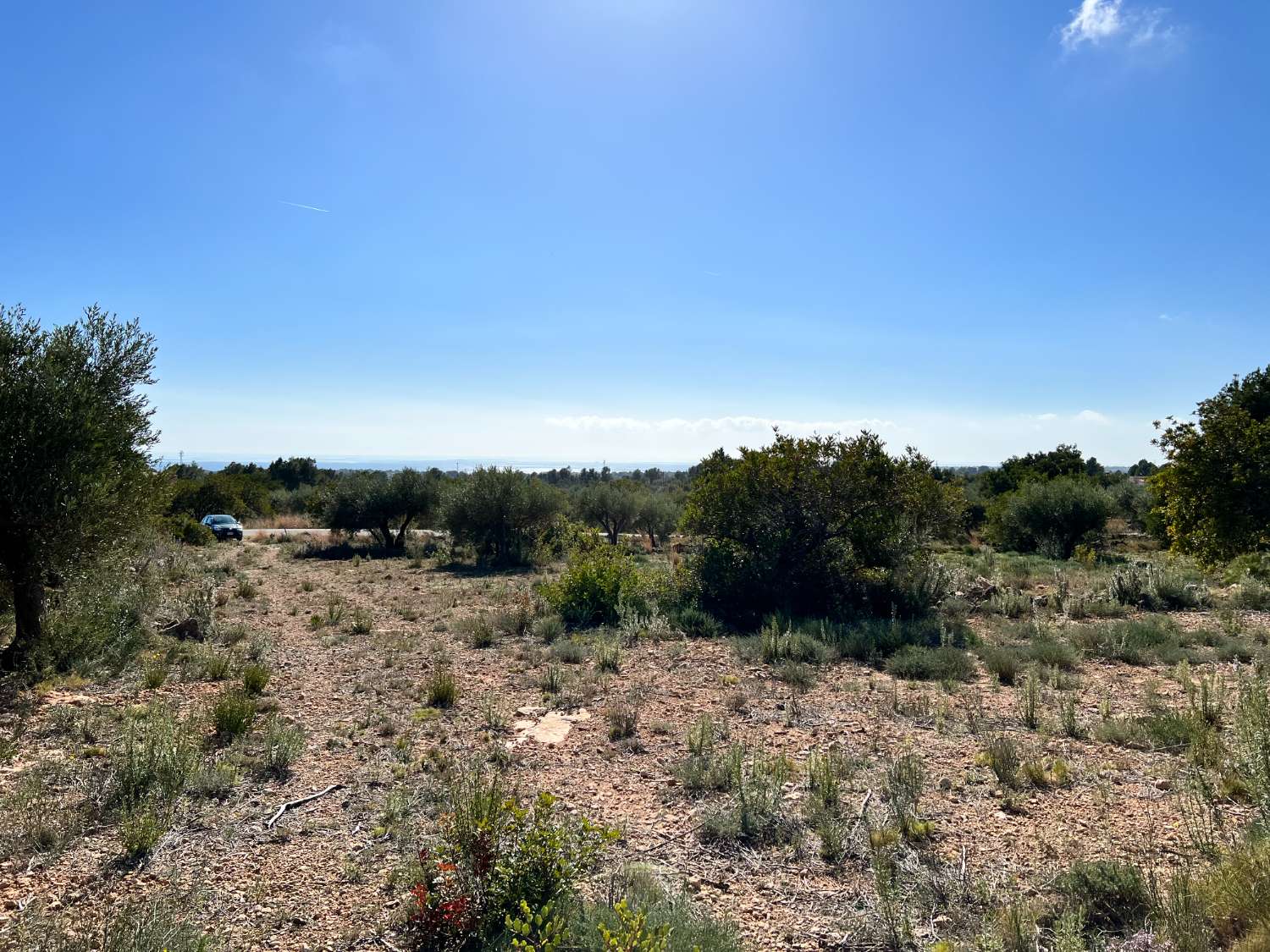 Appezzamento in vendita a Calafat (L'Ametlla de Mar)