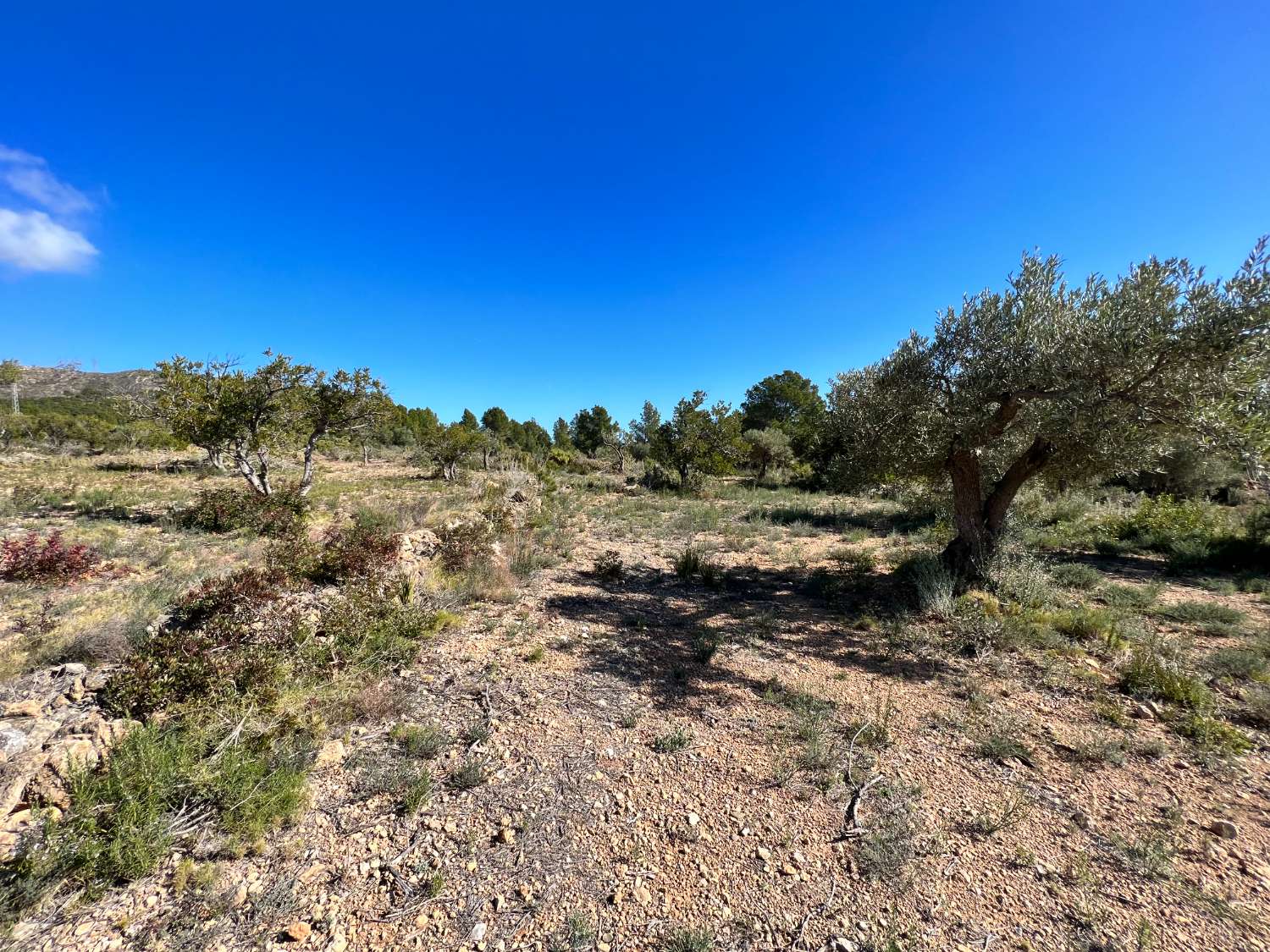 Country Property for sale in Calafat (L'Ametlla de Mar)