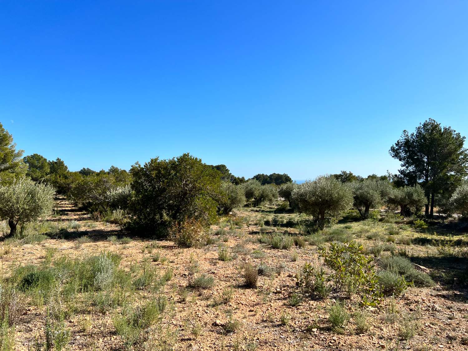 Country Property for sale in Calafat (L'Ametlla de Mar)