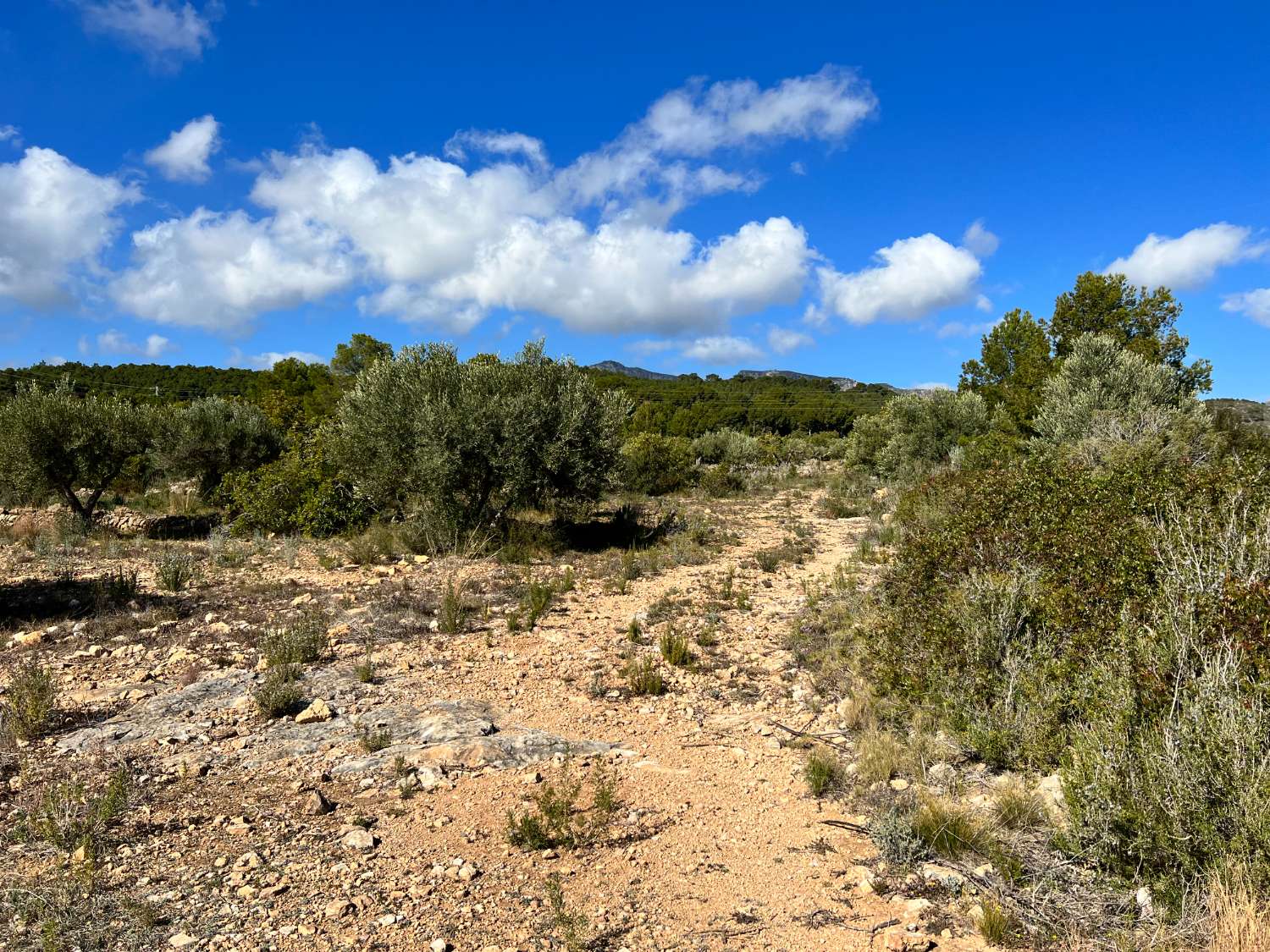 Grundstück zum verkauf in Calafat (L'Ametlla de Mar)