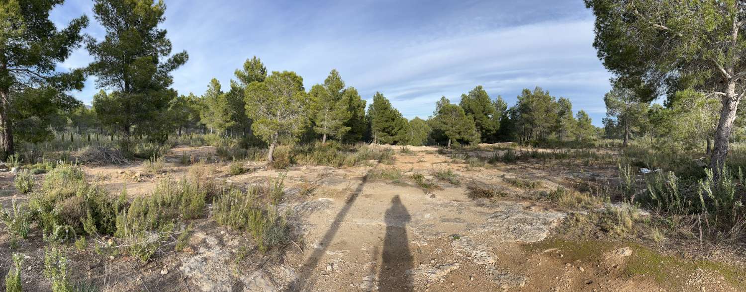 Plot en venda in Sant Jordi d'Alfama (L'Ametlla de Mar)