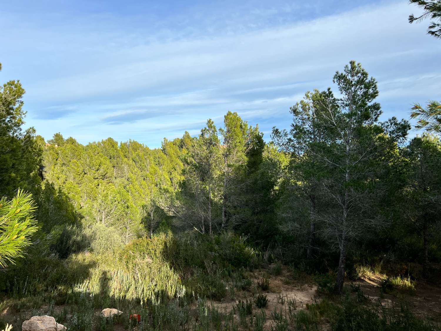 Plot en venda in Sant Jordi d'Alfama (L'Ametlla de Mar)