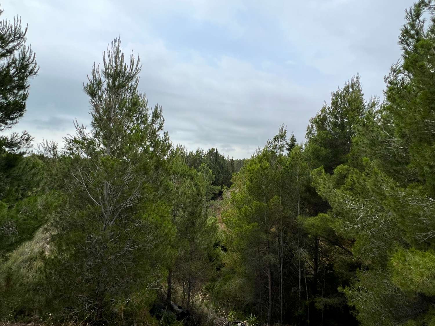 House in the middle of the nature