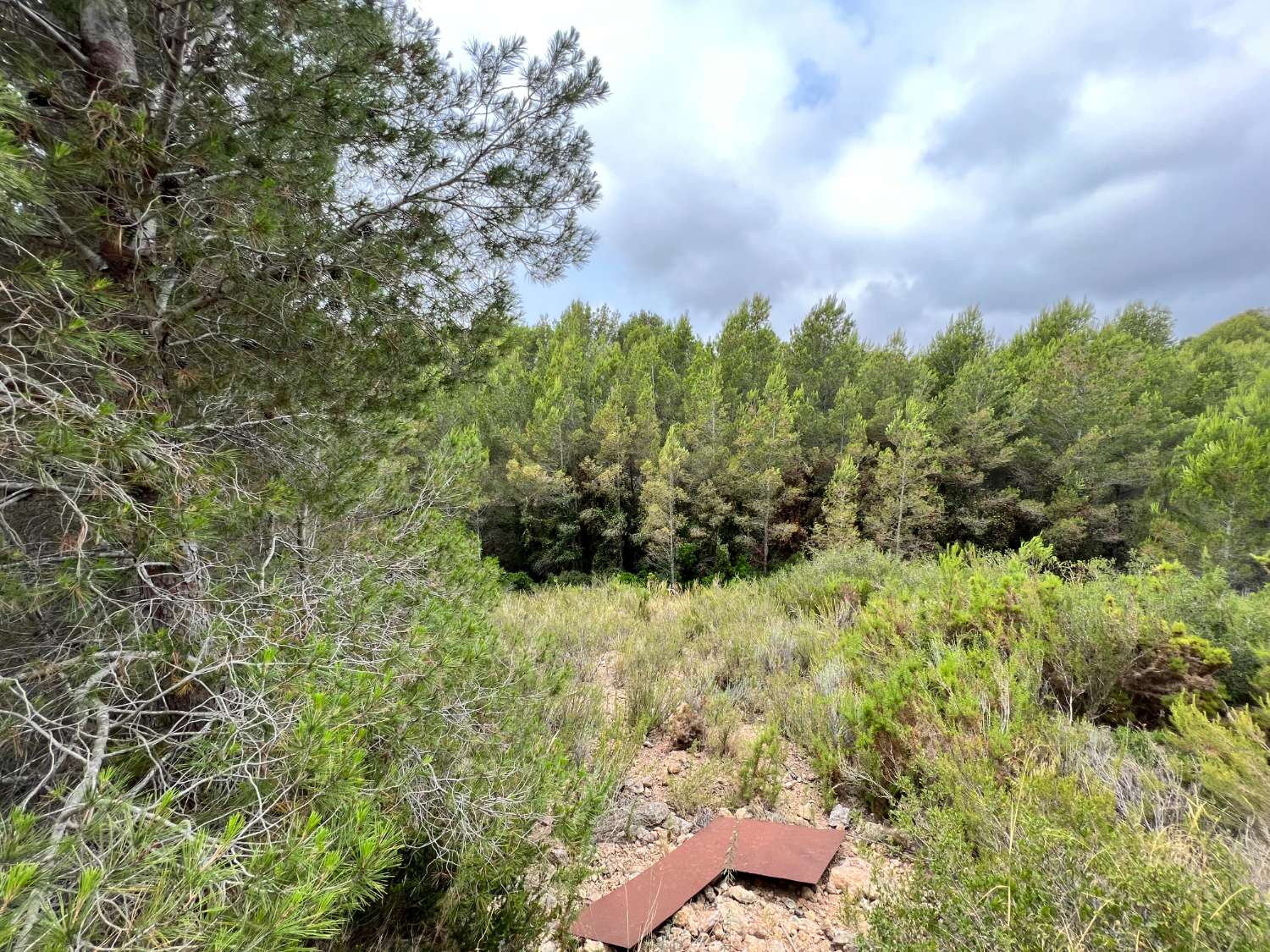 casa immersa nella natura