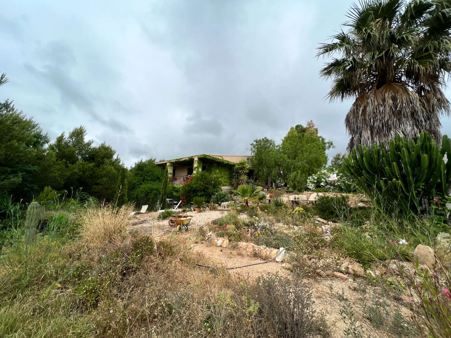 Maison en pleine nature