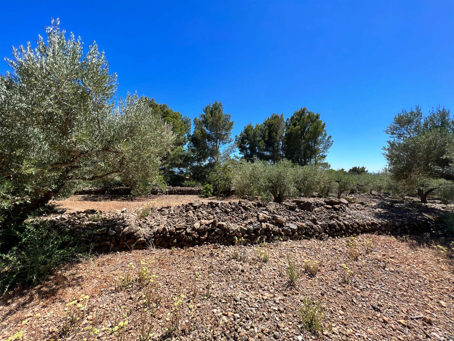 Plot for sale in Vandellòs