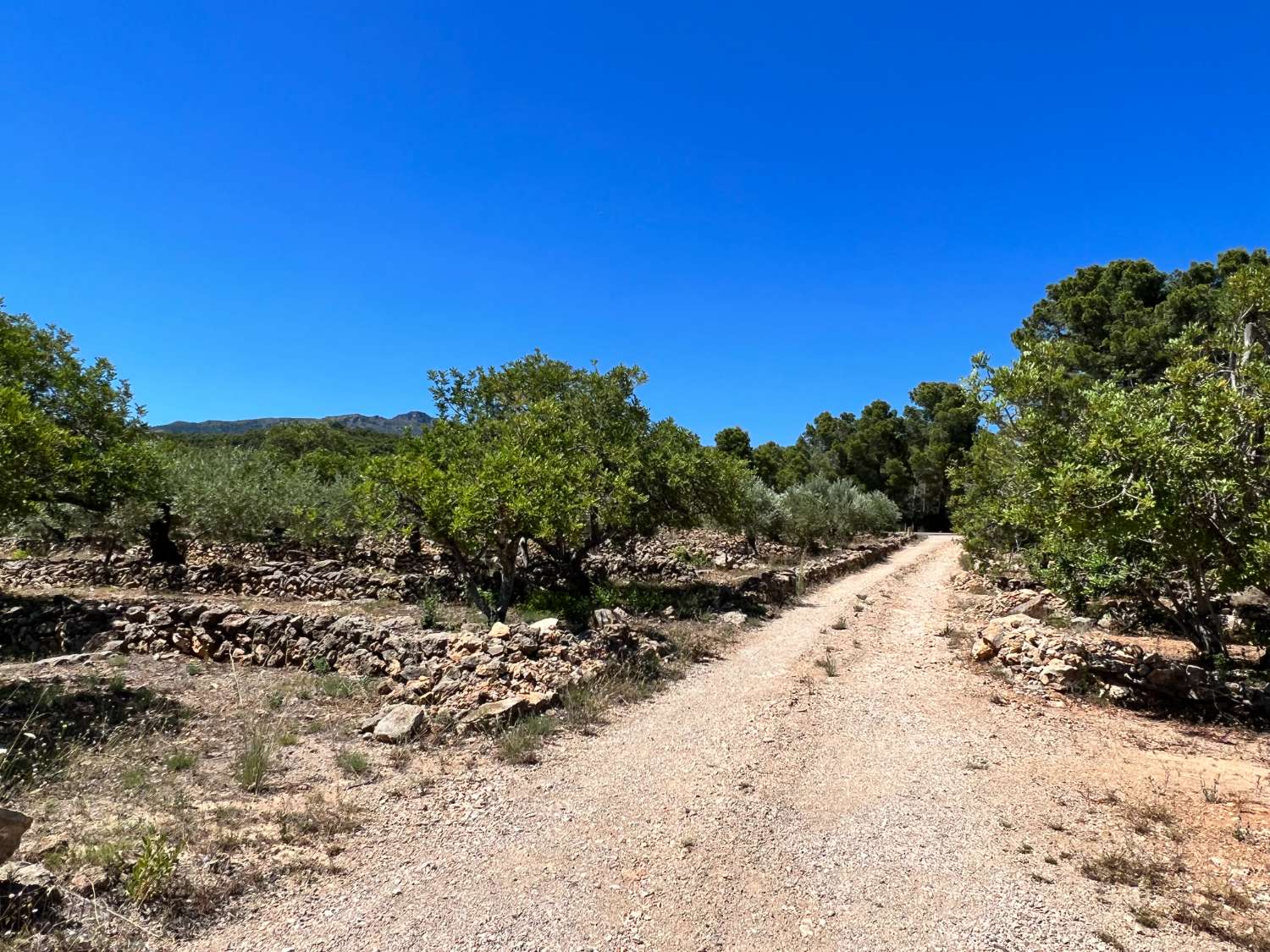 Parcelle en vente à Vandellòs