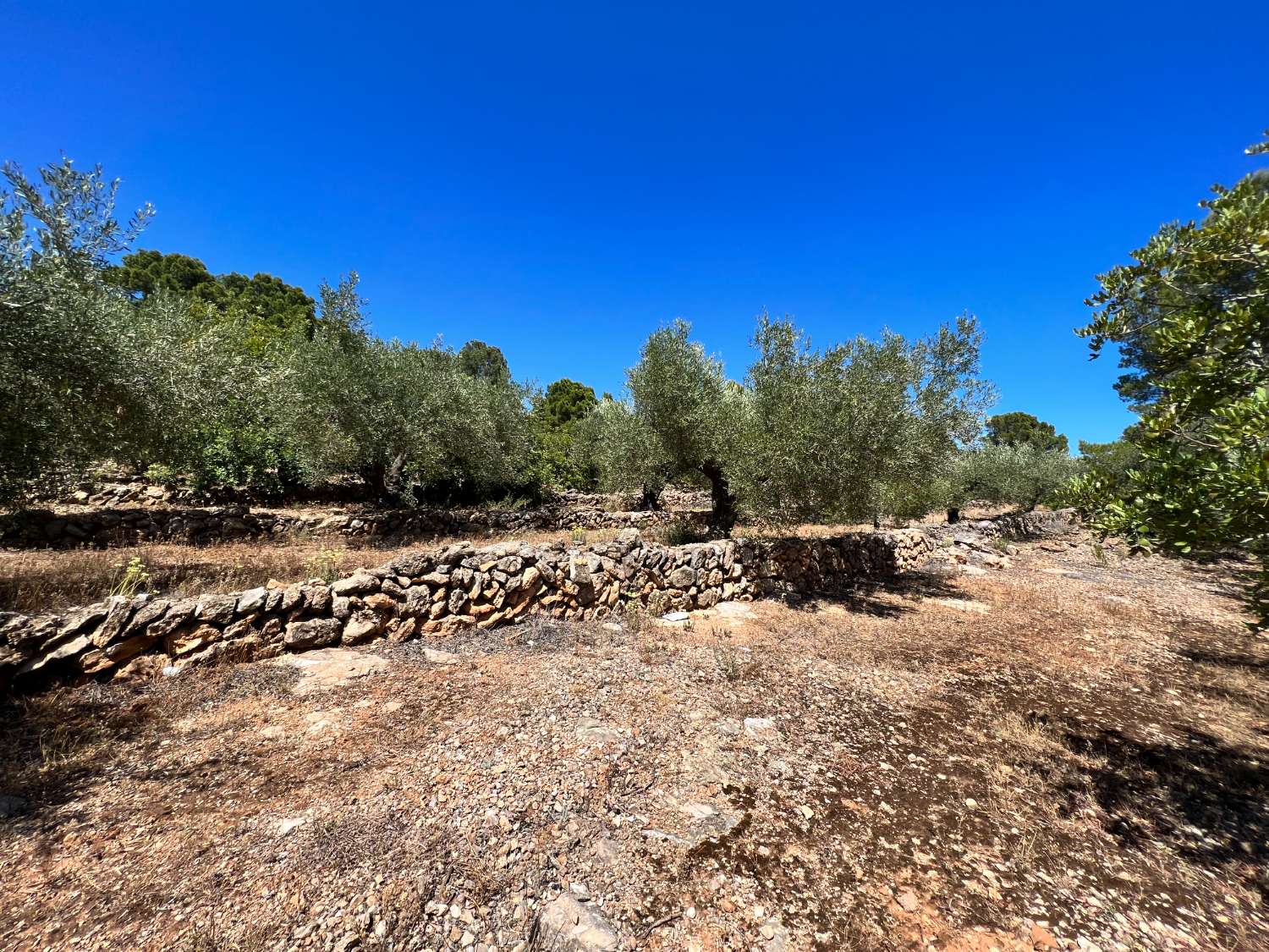 Plot for sale in Vandellòs